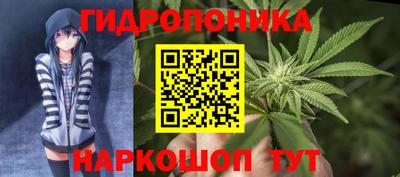 дурь Тверь