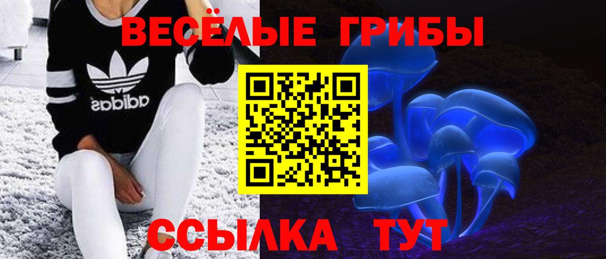 Галлюциногенные грибы Psilocybe Новошахтинск