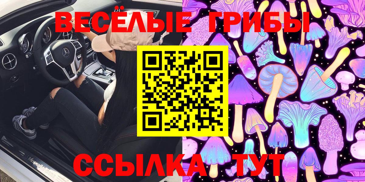 Новошахтинск  Псилоцибиновые грибы MAGIC MUSHROOMS  как найти   Вход с VPN 